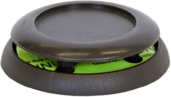 bed bug climbup interceptors