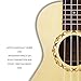 Ukulele 21 Inch Concert Ukulele with Bag Spruce Top Panel, Rosewood Fretboard 4 Strings Instrument with Nylon Strings Silver Geared Tuners