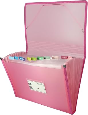 Ordner | Pastellrosa | Foliogröße | 13 Faltpositionen | Inklusive Etikett für Sichtfenster und Karten | wasserdichte Kunststoffeinband | Multiline