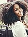 Luwigs Afro Kinky Curly 4B 4C Hair Extensions One Bundle Hair Weave Human Hair Bundles Afro Kinkys Curly Hair Bundles Natural Color (14 inches, Afro Kinky Curly 4B 4C)