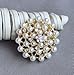 32 pcs Rhinestone Gold Brooch Lot Assorted Crystal Brooch & Button Wedding Brooch Bouquet DIY Kit AMBR673