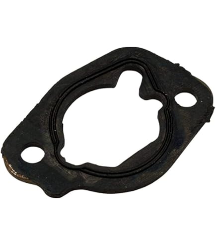 Amazon.com: Honda 2 Pack Genuine 16221-ZH8-801 Carburetor