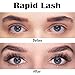 EDIFER Cosmetics, Eyelash Conditioner Serum, Advanced Lash Enhancing Serum, Natural Booster Lash and Eyebrow Enhancer for Growing Beautiful, Longer, Thicker Rapid Lash and Brow (0.17fl oz)