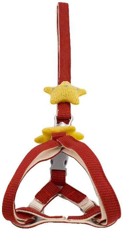 Amazon 小型犬用チェーン ペットチェストストラップ 複数の色 丈夫で耐久性のある 犬 猫ロープセット 猫キャラクターリーシュ 犬 猫リーシュ ペットリーシュ アマゾン ペットリーシュ ペットベスト ペットウォーク パーティー アクティビティ 複数の色