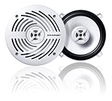 Blaupunkt MSX542 5.25-Inch Marine Coax Speaker Set