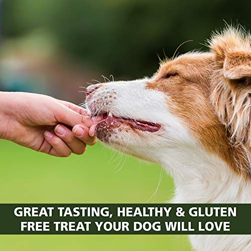 Outback Jack Water Buffalo Dog Jerky Treats & Dog Chews (100 All