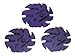 JoolTool 3M 9-Piece Cubitron Ceramic Purple Abrasive Disc Kit, Ceramic, 3