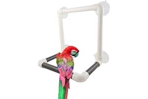 Keersi Bird Portable Suction Cup Shower Perch Window Wall Stand Platform for Medium Large Parrot Macaw African Greys Amazon Cockatoo Parakeet Cockatiel Conure Budgie Lovebirds Finch Canary Bath Toy