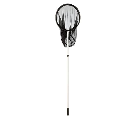 Dehner Teichkescher mit Teleskopstiel, Ø 30 cm