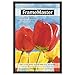 FrameStarr 24x36 Black Poster Frame, Pre-Assembled Black Poster Frame 24 x 36, Solid Composite Wood Frame for Wall Mounting