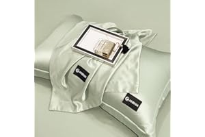 PAJEO Premium Pillowcase Set of 2 - Temperature-Regulating Bedding for Hair & Skin Comfort, Envelope Closure Pillow Cover(Light Green, (20x26inch))