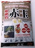 RYUUSEN (DRAGON SPRING) HEAT TREATED SUPER HARD ACADAMA (MEDIUM LARGE)