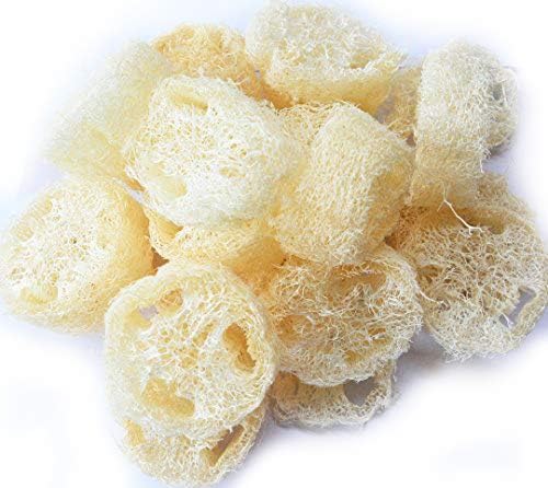 Natural Loofah Slices Sliced Looffa Luffa Perfect Size for Crafting Soaping Making Arts and Crafts Bag of 20 Loofa Slices