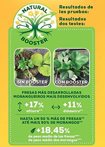 Solabiol Fertilizante 100% organico para frutos rojos y ...