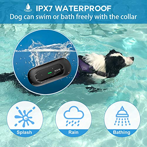 NVK Dog Training Collar 2 Receiver Rechargeable Collars for Dogs with