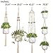 Elf House Macrame Plant Hangers Holder Outdoor - Large Indoor Wall Hanging Planter Hanger with Hooks Flower Pot Holder Decoration, Boho Home Decor Gift Box 4-in-1