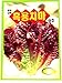 Lettuce Seeds Korean. 2 Pack(4grams-each)