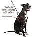 Logical Leather Adjustable Dog Harness - Heavy Duty Quick Release Genuine Leather Harness - Brown