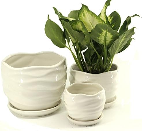 Mecai Set of 3 Medium Sized Garden Flower pot small Plants Round Ceramic planter Succulent Cactus Plant Pots(white wave)