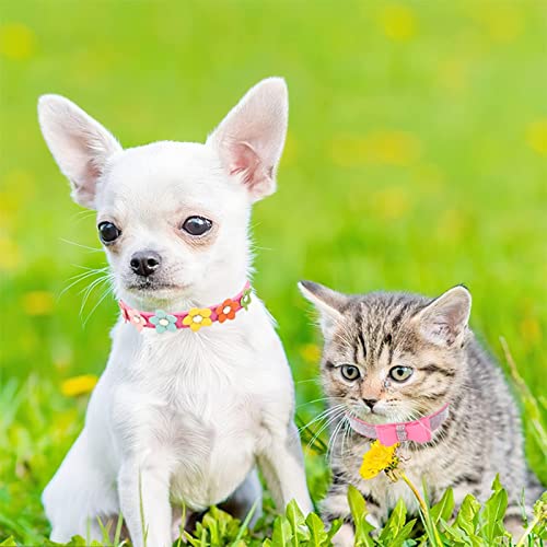 Small Dog Collars 4 Pack Bling Collar with Bells Teacup Chihuahua Collar Adjustable Chihuahua Collar Small Dog Collar Girl Miniaturel Dog Leather Necklace Rhinestone Dog Collar Neck 7.08 9.44in in Ken...