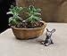 yueton 20pcs Stargazy Pie Animal Miniature Ornament Set for Dollhouse Decor Fairy Garden