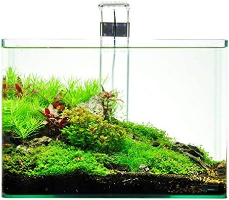 Dennerle Scapers Tank 10 Gallon Aquarium Kit with LED Light Fixture