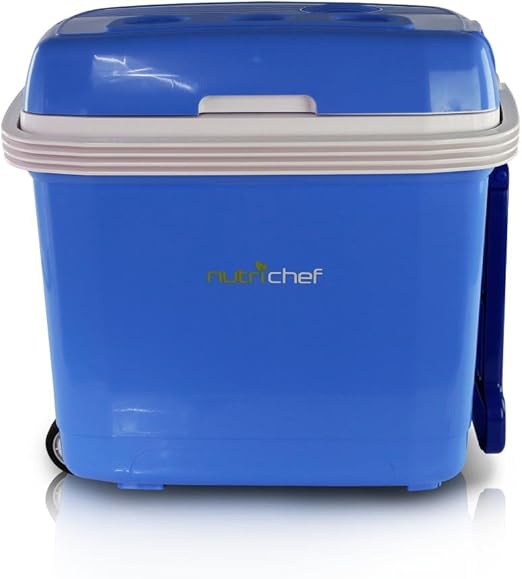 electric cooler amazon