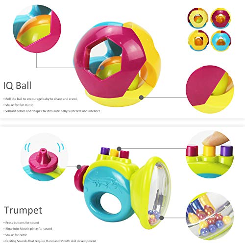 5 iPlay+iLearn+Rattles+Teether+Educational