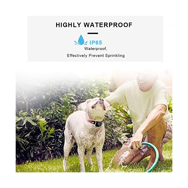 bartun gps pet tracker