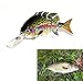 Discover Fish New Multi Jointed Fishing Life-Like Hard Lure Bass Bait Swimbait Minnow Crank Shad Herring Bass Pike Muskie