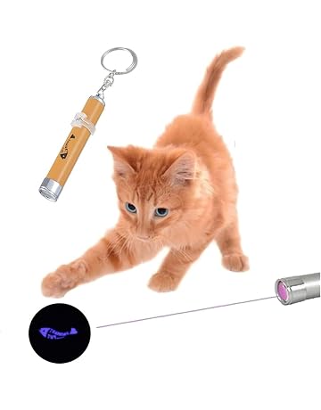 Amazon Ca Jouets Laser Animalerie