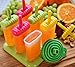 Popsicle Molds by FUMCare - Set of 6 BPA-Free Reusable Large Ice Pop Maker with a Tray - Comes with a Homemade Ice Cream Mold Recipe E-Book and a Collapsible Silicone Funnel