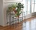 Nesting Branch Plant Stands, Set of 3thumb 1