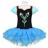Girls Birthday Theme Party Dance Tutu Dress Flourish Flower Embroidery