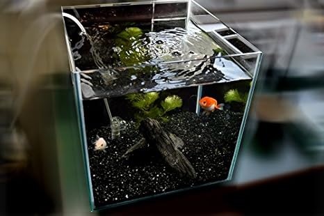 Amazon レイアウト水槽セット 美濃 黒い砂と備長炭の水槽 金魚屋工房 飼育セット 通販