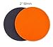 GP13201 GP-PRO20 ULTRA-FINE Grade Sanding Disc for Glass, Silicon Carbide Abrasive Disc / 2-Inch (Pack of 10)