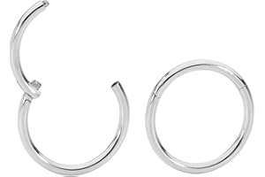 365 SLEEPERS 2PCS 20G Surgical Steel 6mm - 10mm Hinged Hoop Segment Septum Cartilage Helix Tragus Nose Ring Unisex Sleeper Earrings