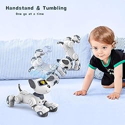 Robot Dog Toys for Kids Age 3-9, Programmable