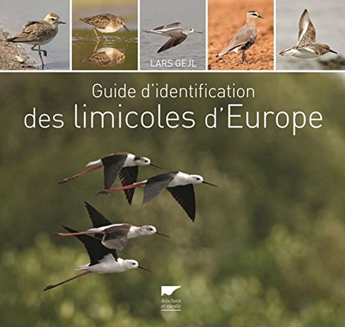 Guide d'identification des limicoles d'Europe
