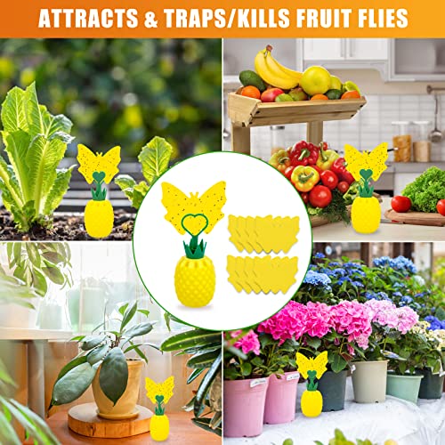 Heyouou Fruit Fly Traps with Sticky Pads, Fruit Flies Gnat Killer for