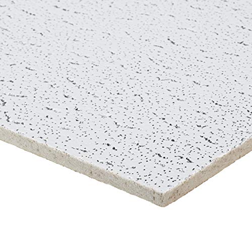 Armstrong Ceiling Tiles; 2x4 Ceiling Tiles 12 Pcs White Ceiling Tiles; Acoustic Ceilings For