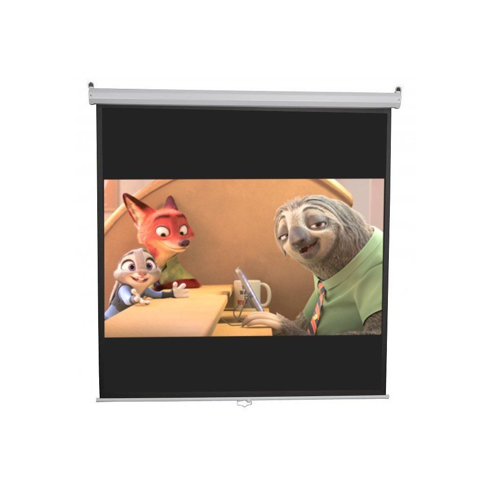 SBOX PSM-112 Pantalla de Proyector Manual Enrollable 112 Pulgadas ...