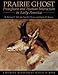 Prairie Ghost: Pronghorn and Human Interaction in Early America