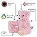 Vermont Teddy Bear Amazon Exclusive Soft Cuddly Bear Stuffed Animals and Teddy, Pink, 15 inches