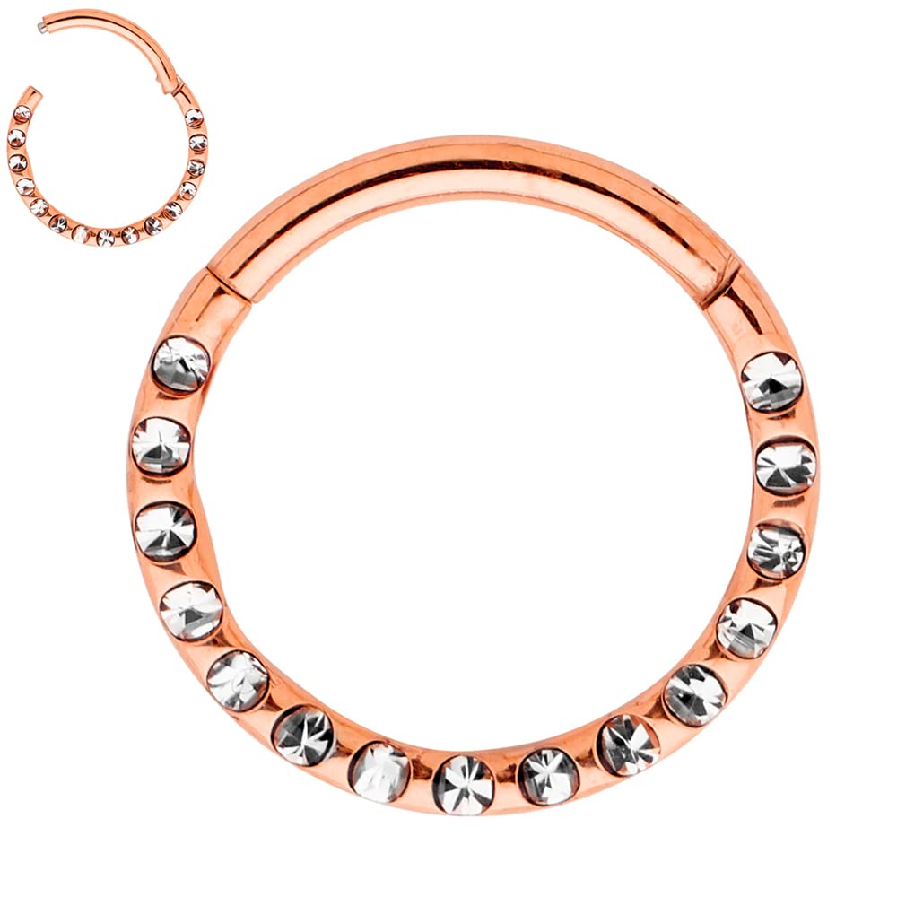 365 SLEEPERS (8mm) Titanium Implant Grade Gem Septum Jewelry Hinged Segment Ring Body Piercing Hoop Lip Rings Helix Cartilage Rook Sleeper Earrings