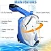 AQUALATION [New 2019 Upgraded] Snorkel Mask Full Face - 180° Large Panoramic View - Snorkeling Mask with Camera Mount, Easy Breath Dry Top Set, Anti-Fog for Men, Women, Adults Youth (L/XL)