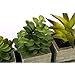 MyGift Set of 3 Realistic Artificial Succulent Plants w/Rustic Style Wood Square Pots & Rectangular Tray