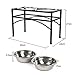 Funkeen Elevated Double Bowl Feeder, Stainless Steel, 1-Quart - Fit for Medium Dogs / Cats / Puppies