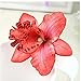 DreamLily Hawaiian Orchid Flower Hair Clip Hair pins for Beach Party BC14 (Red#1)