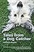 Tales from a Dog Catcher by